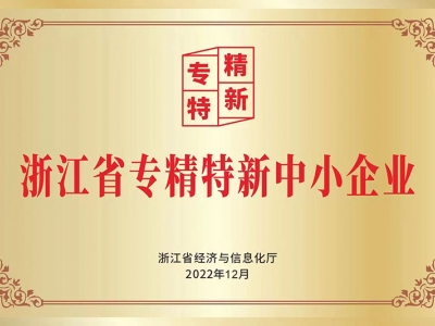 浙江省專(zhuān)精特新中小企業(yè)