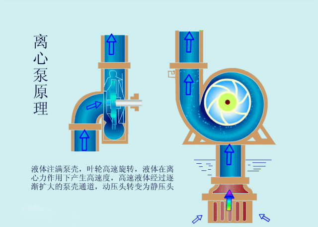 科普之離心泵啟動(dòng)時(shí)，出口閥門(mén)必須關(guān)閉嗎？(圖2)